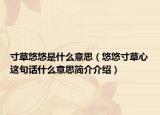 寸草悠悠是什么意思（悠悠寸草心這句話(huà)什么意思簡(jiǎn)介介紹）