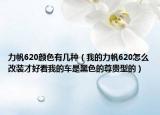 力帆620顏色有幾種（我的力帆620怎么改裝才好看我的車(chē)是黑色的尊貴型的）