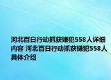 河北百日行動抓獲嫌犯558人詳細內(nèi)容 河北百日行動抓獲嫌犯558人具體介紹