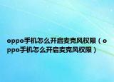 oppo手機(jī)怎么開啟麥克風(fēng)權(quán)限（oppo手機(jī)怎么開啟麥克風(fēng)權(quán)限）