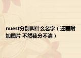 nuest分別叫什么名字（還要附加圖片 不然我分不清）