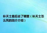補天士最后去了哪里（補天士怎么死的簡介介紹）