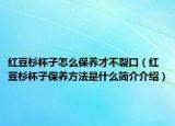 紅豆杉杯子怎么保養(yǎng)才不裂口（紅豆杉杯子保養(yǎng)方法是什么簡介介紹）