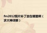 fm2012照片補(bǔ)丁放在哪里?。ㄇ蟠笊裨斀猓? /></span></a>
                        <h2><a href=