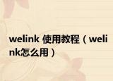 welink 使用教程（welink怎么用）