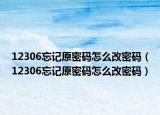 12306忘記原密碼怎么改密碼（12306忘記原密碼怎么改密碼）