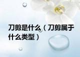 刀剪是什么（刀剪屬于什么類型）