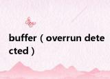 buffer（overrun detected）