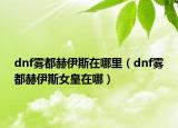 dnf霧都赫伊斯在哪里（dnf霧都赫伊斯女皇在哪）