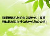 雙重預(yù)防機制的定義是什么（雙重預(yù)防機制是指什么和什么簡介介紹）