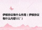 伊核協(xié)議有什么作用（伊核協(xié)議有什么內(nèi)容\
