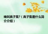 啥叫真子集?（真子集是什么簡介介紹）
