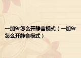 一加9r怎么開靜音模式（一加9r怎么開靜音模式）