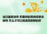 當(dāng)日最新消息 蝦腹部的黑線需要去掉嗎 怎么才可以挑選到新鮮的蝦