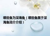 哪些魚為深海魚（哪些魚屬于深海魚簡(jiǎn)介介紹）