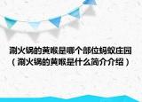 涮火鍋的黃喉是哪個(gè)部位螞蟻莊園（涮火鍋的黃喉是什么簡(jiǎn)介介紹）