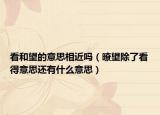 看和望的意思相近嗎（暸望除了看得意思還有什么意思）