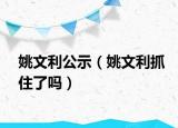 姚文利公示（姚文利抓住了嗎）