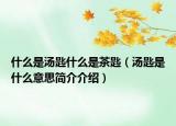 什么是湯匙什么是茶匙（湯匙是什么意思簡介介紹）