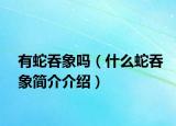 有蛇吞象嗎（什么蛇吞象簡(jiǎn)介介紹）