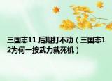 三國(guó)志11 后期打不動(dòng)（三國(guó)志12為何一按武力就死機(jī)）