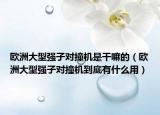 歐洲大型強(qiáng)子對(duì)撞機(jī)是干嘛的（歐洲大型強(qiáng)子對(duì)撞機(jī)到底有什么用）