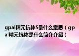 gpal精元抗體5是什么意思（gpal精元抗體是什么簡介介紹）