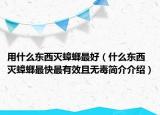 用什么東西滅蟑螂最好（什么東西滅蟑螂最快最有效且無毒簡介介紹）