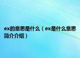 ex的意思是什么（ex是什么意思簡介介紹）