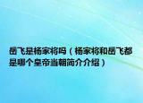 岳飛是楊家將嗎（楊家將和岳飛都是哪個(gè)皇帝當(dāng)朝簡(jiǎn)介介紹）