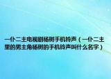 一仆二主電視劇楊樹手機鈴聲（一仆二主里的男主角楊樹的手機鈴聲叫什么名字）