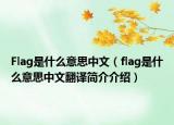 Flag是什么意思中文（flag是什么意思中文翻譯簡介介紹）