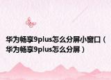 華為暢享9plus怎么分屏小窗口（華為暢享9plus怎么分屏）