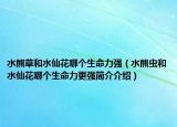 水熊草和水仙花哪個(gè)生命力強(qiáng)（水熊蟲和水仙花哪個(gè)生命力更強(qiáng)簡介介紹）