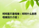 呵呵是不是母豬（呵呵什么意思母豬簡介介紹）