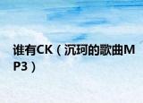 誰有CK（沉珂的歌曲MP3）