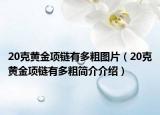 20克黃金項鏈有多粗圖片（20克黃金項鏈有多粗簡介介紹）