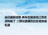 當(dāng)日最新消息 兩車生豬途經(jīng)江蘇差點(diǎn)熱熟了 二師兄遭遇烈日炙烤快成乳豬