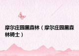 摩爾莊園黑森林（摩爾莊園黑森林騎士）
