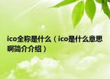 ico全稱是什么（ico是什么意思啊簡介介紹）