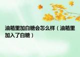 油箱里加白糖會(huì)怎么樣（油箱里加入了白糖）