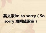 英文歌lm so sorry（So sorry 海明威歌曲）