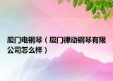 廈門電鋼琴（廈門律動鋼琴有限公司怎么樣）