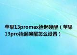 蘋果13promax抬起喚醒（蘋果13pro抬起喚醒怎么設(shè)置）