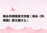柳永鳳棲梧原文拼音（柳永《鳳棲梧》原文是什么）