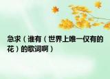 急求（誰有（世界上唯一僅有的花）的歌詞?。? /></span></a>
                        <h2><a href=