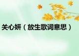 關心妍（放生歌詞意思）