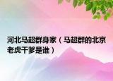 河北馬超群身家（馬超群的北京老虎干爹是誰）