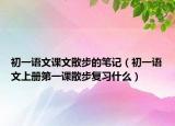 初一語文課文散步的筆記（初一語文上冊第一課散步復習什么）