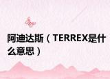阿迪達斯（TERREX是什么意思）